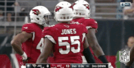 Arizona Cardinals Football GIF by NFL