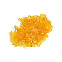 Orange Sunburst Sticker