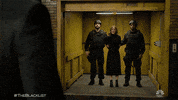 Nbc GIF by The Blacklist