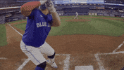 Home Run Baseball GIF by Toronto Blue Jays