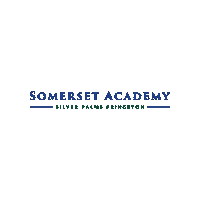 Academica Schools Sticker by Academica