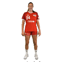 Schweiz Sticker by Swiss Handball