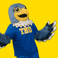 Mascot Dancing GIF by Toronto Metropolitan University