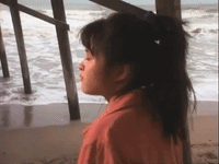 the mystery files of shelby woo nicksplat GIF