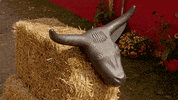 dude ranch fall GIF by Hallmark Channel