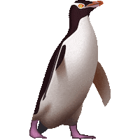 kiwi nz Sticker by Emotiki - The World's First Māori emoji app
