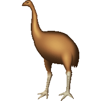 kiwi nz Sticker by Emotiki - The World's First Māori emoji app