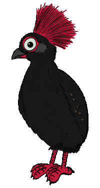Partridge Quail Sticker
