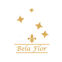Belaflorimportadora shine belaflor belaflorimportadora Sticker