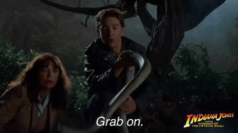 giphy.gif