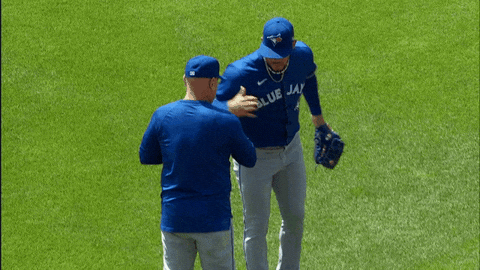 Blue Jays Baseball GIF by Toronto Blue Jays