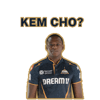 Ipl Gt Sticker by Gujarat Titans