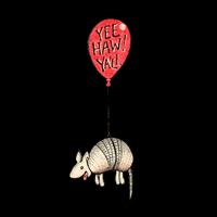 Limons_art texas yeehaw armadillo baloon GIF