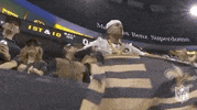 Regular Season Football GIF by NFL