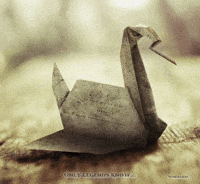Michael_177 prison break swan scofieldxc prison break swan GIF