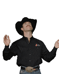 Great Job Wow Sticker by Justin Boots