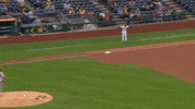 Sport Baseball GIF by MLB