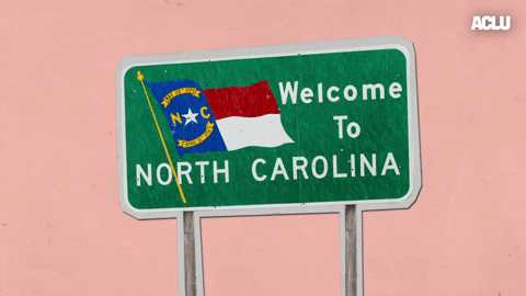 Voting North Carolina GIF by ACLU
