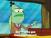 season 4 GIF by SpongeBob SquarePants