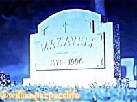 Willianpacpacslife GIF