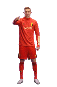 ingbelgium well done belgium football player ing Sticker