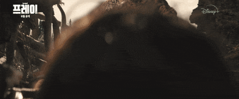 giphyupload GIF