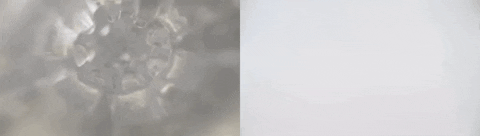 GIF by pures&exy