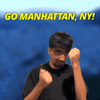 New York Ny GIF
