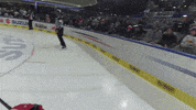 red bull pov GIF
