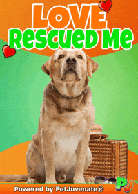 Puppy Love Funny Dog GIF by PetJuvenate - PJ