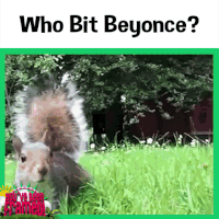 ITV who bit beyonce? GIF by You've Been Framed!