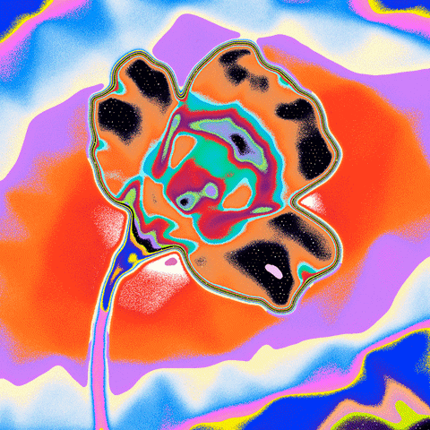 Rainbow Loop GIF by Toke