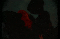 Division GIF by Jenevieve