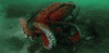 giant octopus tentacles GIF