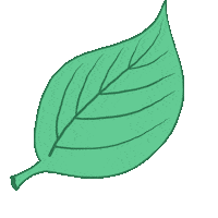 Plant Leaves Sticker