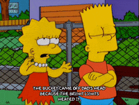 bart simpson lisa GIF