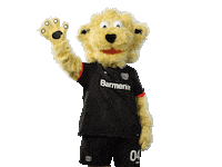 Waving Bayer 04 Sticker by Bayer 04 Leverkusen