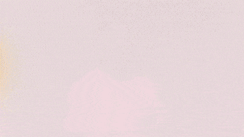 Football Sport GIF by FC Red Bull Salzburg