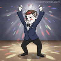 Happy Hands Up GIF by Doge Pound