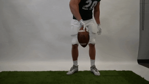 Iwutitans Tgoe GIF by iwusports