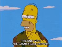 homer simpson episode 6 GIF