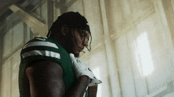 Football Nfl GIF by New York Jets