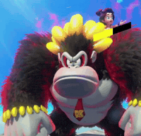 Donkey Kong Dk GIF
