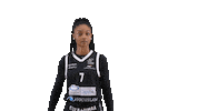 Sport Basketball Sticker by Basket_fi