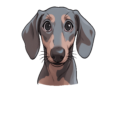 Excited Bounce Sticker