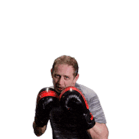 Boxing Newcastle Sticker by Redback Solutions