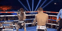 toprank fight boxing fighting fighters GIF