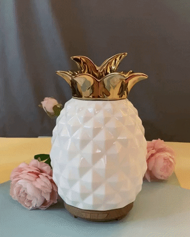 HappyPineappleCo giphyupload GIF