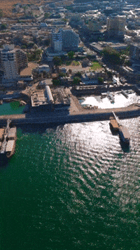 Amir Jayousi GIF