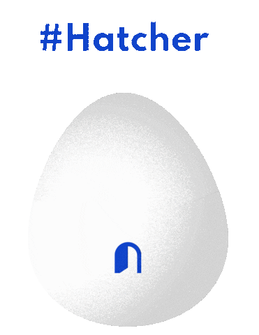 hatchcorpsolutions giphyupload hatcher hatchsolutions hatch corporate solutions Sticker